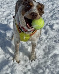 0208D7F6-9D58-4CE6-AD40-1B346CE31836_1_105_c