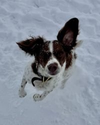 08536634-B98E-44D0-B6CE-74AE87A74AAD_1_105_c