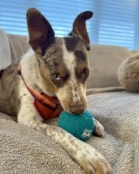 10513523-978A-478C-B42A-A151FB53F014_1_105_c