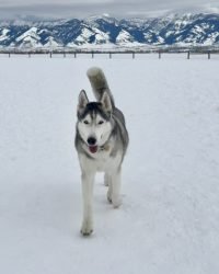 10DE3034-D069-41F4-BFAD-5073C18FF6DF_1_105_c