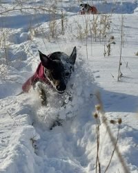 16D1C1CE-D4F5-45BA-A531-3B260C2AF351_1_105_c