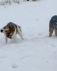 1BF19856-5F5B-450D-A0FF-5F8AFF85487E_1_105_c