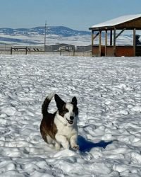 1DF54337-BCB7-40B6-A432-A21CC9E36DE0_1_105_c