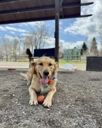 215AFAA6-3624-45DF-A18E-E63AE0E2C165_1_105_c