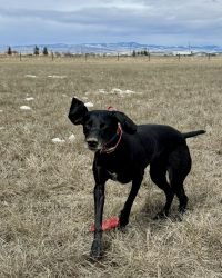 2C83B39F-21AE-4EC1-B794-588888404151_1_105_c