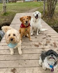 2CE136E3-1E56-4E3A-8F60-AE7848AD9A5A_1_105_c