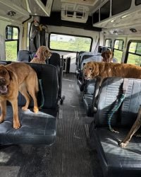 2F0642AF-7F61-474D-8DD1-6A621B62A3C7_1_105_c