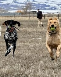 37560F13-7C4F-4686-A6C5-234F211C7380_1_105_c