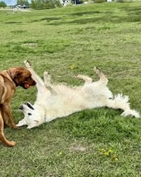 385EECD4-46A0-4020-85E9-218D1D8E2FAD_1_105_c