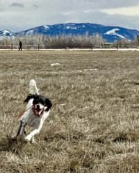 3B1CC78A-6B51-4FCA-87C9-78C2C9070B85_1_105_c