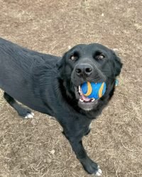 400DDE9C-005D-4638-AB59-A15FC64CDB3A_1_105_c