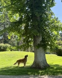 56E76CB1-4ACE-46E3-9E37-9A97D64B99AF_1_105_c