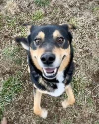 598A0220-35EC-4683-9415-6B0175FA1F5F_1_105_c