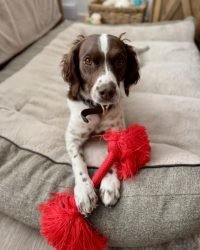 73EE1057-812B-4937-975D-AAD3D6E35717_1_105_c