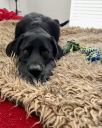 7C1063EB-444E-420F-A418-59467F960EE9_1_105_c