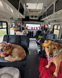 8134DCD5-B051-42A9-B4C8-39993B7D9D4A_1_105_c