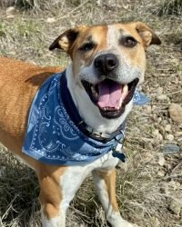 8BB422D3-7994-493E-AB68-CD919ECC564E_1_105_c