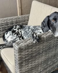 8FFF6B0E-28F5-44DF-B832-A6520C838FA3_1_105_c