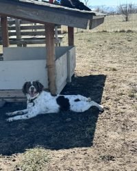 929BA4E1-AE00-4F6C-8A50-1C0F546EF244_1_105_c