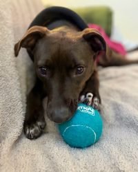 9531C587-CB5D-4887-AABD-363EDCAEF884_1_105_c