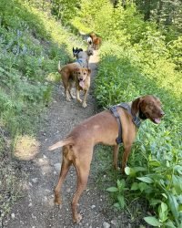 9BB3B0F4-F5F7-41BC-B90D-A75AEEE5F025_1_105_c