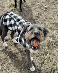 A00FE409-2A65-40C9-A46D-4B9F700ED9FC_1_105_c