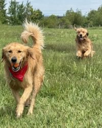 A20293B3-F576-4F4C-9D02-559E0F6ABD6D_1_105_c