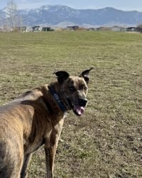 A6D85A4B-AAF7-42F2-BE4A-2089758DA025_1_105_c