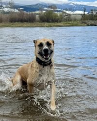 B04B1652-6E22-4D97-AEBB-1D29097693F9_1_105_c