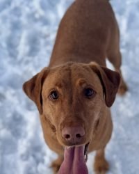 C14EA19E-405B-417C-AAE5-FDC77812838D_1_105_c