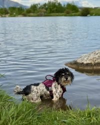 CAEA2A4E-A9D9-4DD1-B8E7-C1A13C11E6FD_1_105_c