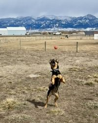 D3134426-98E1-4306-A21C-91D9714DAA5F_1_105_c