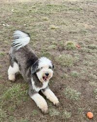 D54ADEBA-EB14-4EF4-B69E-05C82AC50216_1_105_c