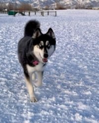 E4B8AA9E-39E9-49EF-A403-5D118430D9DC_1_105_c