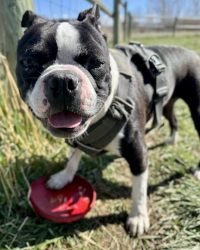 E7FFEAD3-CB3D-4AD9-A451-90D770D602D7_1_105_c