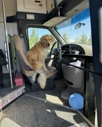 F4A3E1FD-360D-4682-9826-77B568F39E6E_1_105_c