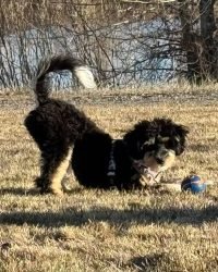 F79CCFF2-E88E-440B-AFC6-F33F1FB74587_1_105_c